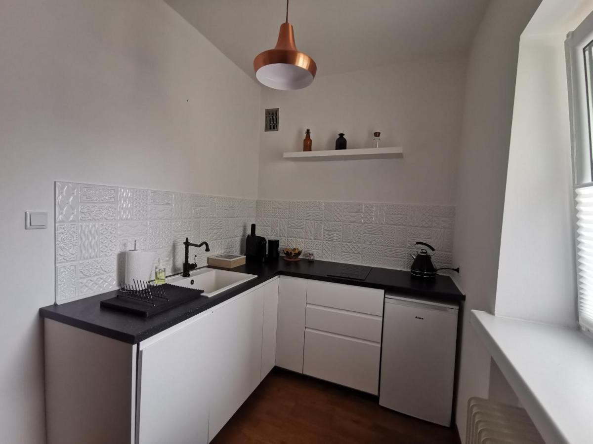Apartament Skorpion Centrum 사노크 외부 사진